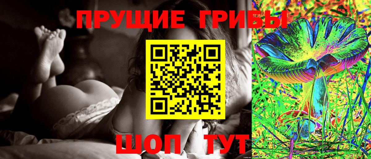 Галлюциногенные грибы GOLDEN TEACHER Губкинский