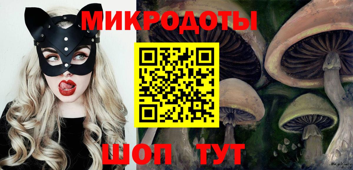 Губкинский  Галлюциногенные грибы мицелий  Вход с VPN  Галлюциногенные грибы Cubensis 